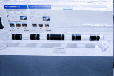 AI Empowers a Green Future | Shenkai Attended cippe 2025(ͼ3)