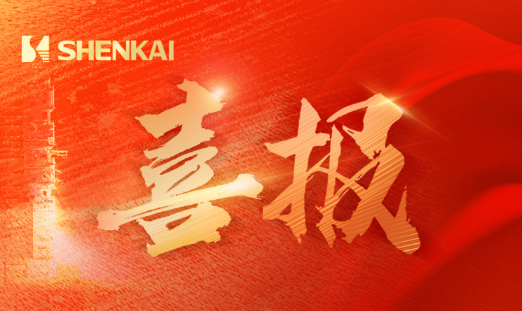 k1���� - ʮ��Ʒ�� ֵ������