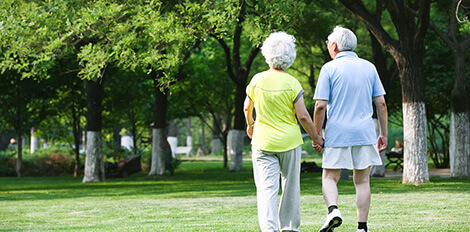 k1���� - ʮ��Ʒ�� ֵ������