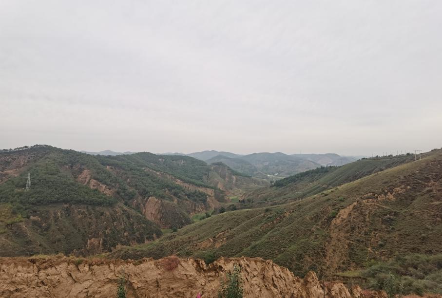 ¾«×¼´´Ôì¼ÛÖµ£¡K1ÌåÓýËæ×êÖúÁ¦µ¥¾®´ó·ùÔö²úÌáЧ(ͼ1) ¾«×¼´´Ôì¼ÛÖµ£¡K1ÌåÓýËæ×êÖúÁ¦µ¥¾®´ó·ùÔö²úÌáЧ(ͼ1)